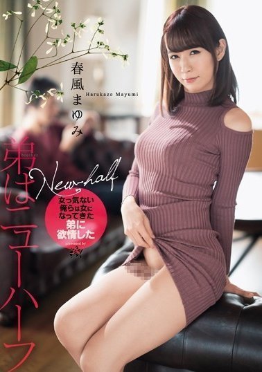 欧美porno-午夜dj免费在线播放